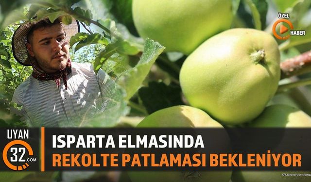 Isparta Elmasında Rekolte Patlaması Bekleniyor