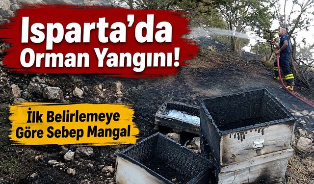 Mangal Kıvılcımı Ormanı Yaktı! Isparta'da Arı Kovanları Kül Oldu