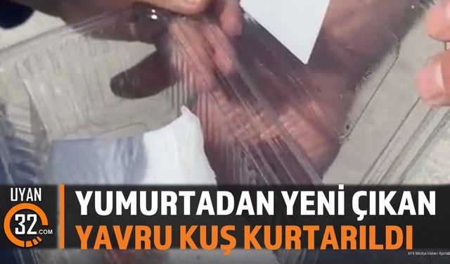 İtfaiye Ekipleri Yavru Kuşu Kurtardı
