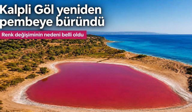 Kalpli Göl yeniden pembeye büründü: Renk değişiminin nedeni belli oldu