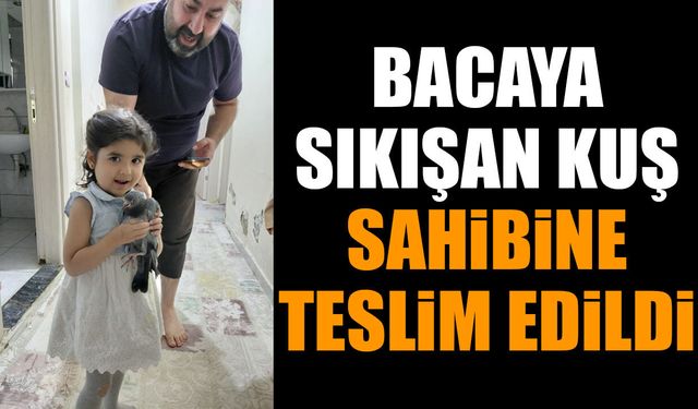 Bacaya Sıkışan Kuş Sahibine Teslim Edildi