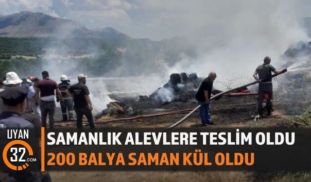 Alevler Samanlığı Sardı! 200 Balya Saman Kül Oldu