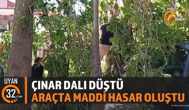Şarkikaraağaç'ta Çınar Ağacının Dalı Koptu