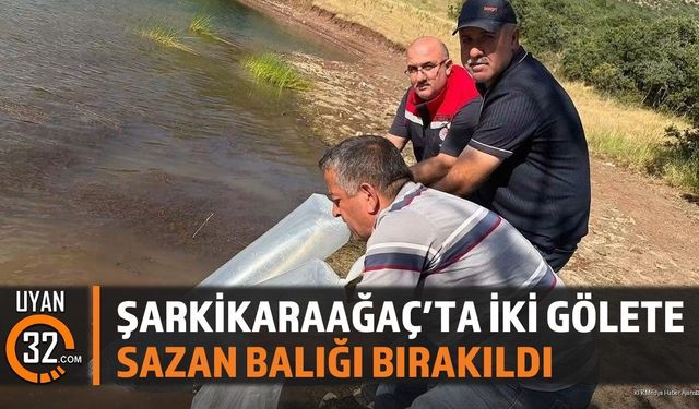Şarkikaraağaç'ta Sazan Balığı Bırakıldı