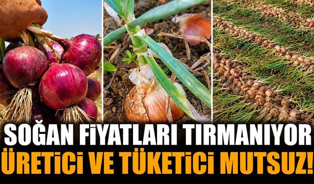 Soğan Fiyatları Neden Yükseldi? Mutfakların Vazgeçilmez Ürününde Yükselişin Perde Arkası