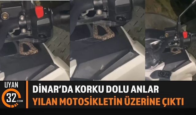 Dinar'da Korkutan Anlar! Yılan Motosikletin Üzerine Çıktı