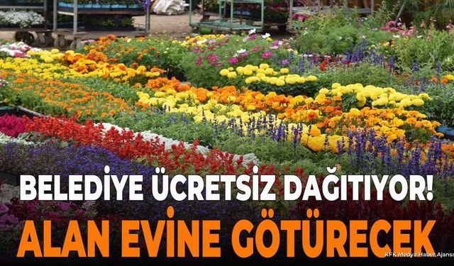 Belediye Ücretsiz Dağıtıyor! Alan Evine Götürecek