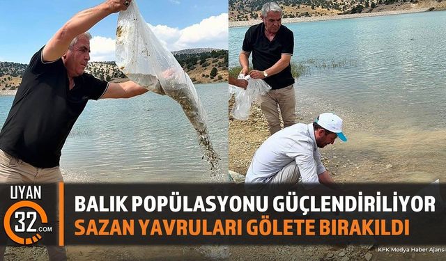 Göynücek Göleti'ne Sazan Yavrusu Salımı Yapıldı