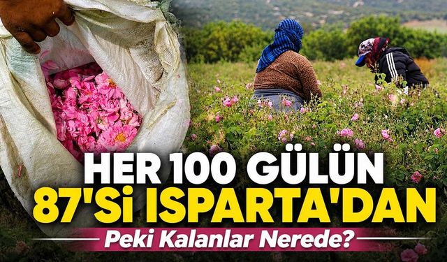Her 100 Gülün 87’si Isparta’dan: Peki Kalanlar Nerede Üretiliyor?