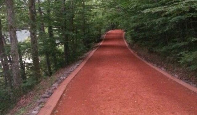 GÖLCÜK TABİAT PARKI GENÇLİK KAMPI 1 ETAP SPOR TESİSLERİ VE YÜRÜYÜŞ YOLU YAPIM İŞİ