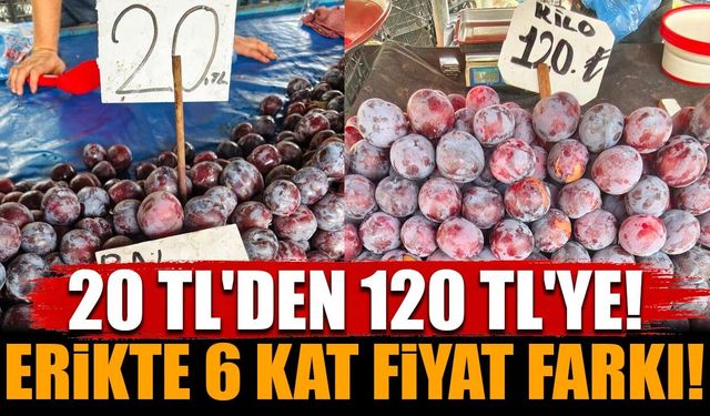 20 TL'lik erik 120 TL'ye satılıyor: Aradaki 6 katın sebebi belli oldu!