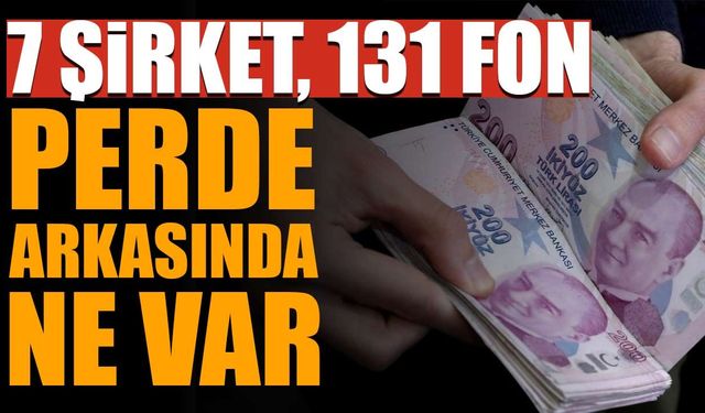 7 şirket, 131 fon, 455 bin 758 yatırımcı: İşte fonlarda yaşananların perde arkası