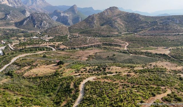 Çandır'da Yanan Ormanlar 5 Yıl Sonra Yeniden Yeşerdi