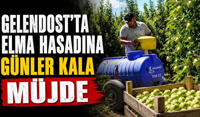 Gelendost'ta Elma Hasadına Günler Kala Müjde: Ağaç Başı Verim Rekor Seviyeye Ulaştı!