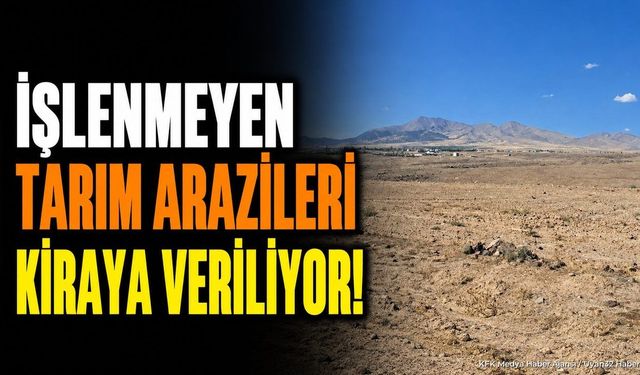 Isparta'da 2 yıldır boş duran araziler kiralanıyor: Kira gelirini kim alacak?
