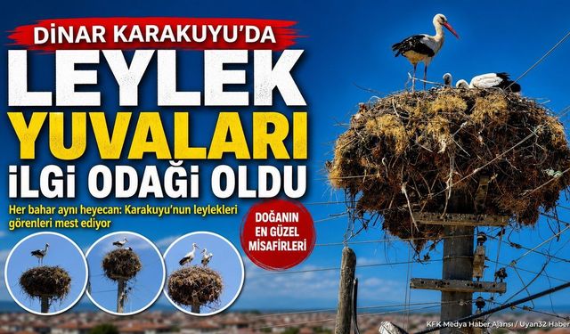 Karakuyu Köyünde Leylek Hareketliliği: Göç Öncesi Renkli Anlar