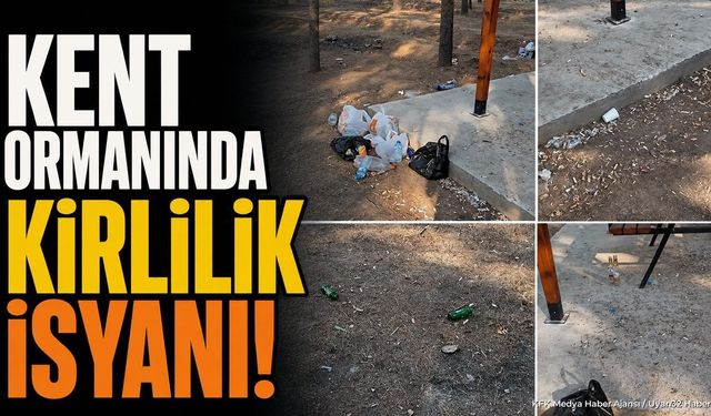 Yalvaç Kent Ormanı'nda Tepki Çeken Görüntüler: Vatandaşlar Denetim İstiyor