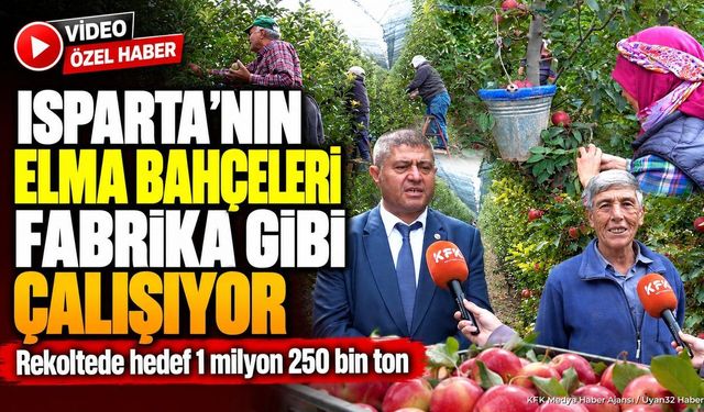 Isparta'da Elma Hasadı Sürüyor: Rekolte Beklentisi 1 Milyon 250 Bin Ton