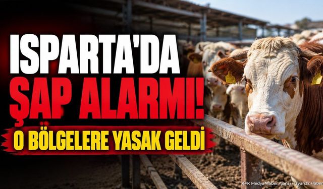 Isparta'da Şap Alarmı: O Bölgelerde Kısıtlama Başladı