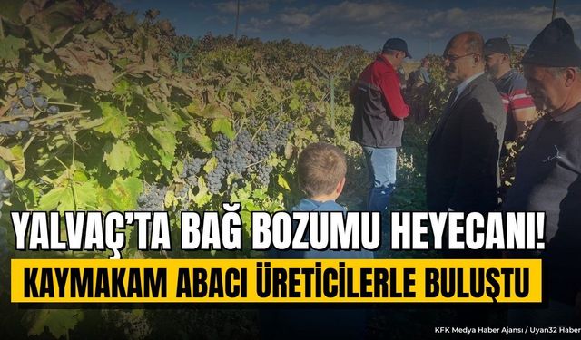 Kuyucak Köyü'nde Üzüm Hasadı Devam Ediyor