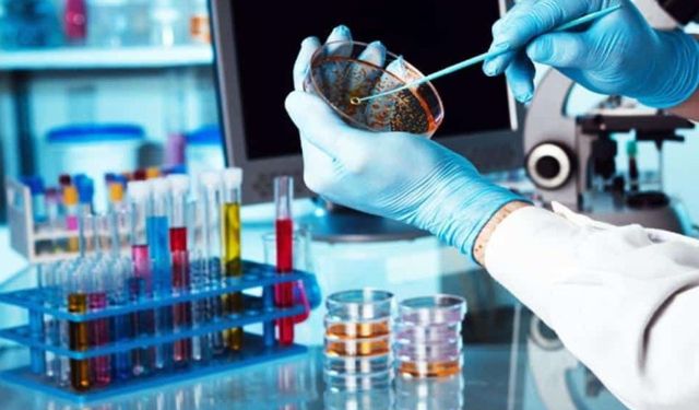 20 AYLIK LABORATUVAR HİZMET ALIMI (SONUÇ -PUAN KARŞILIĞI)