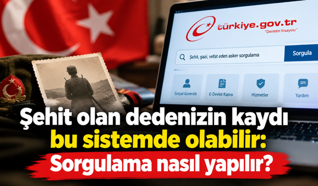 Şehit olan dedenizin kaydı bu sistemde olabilir: Sorgulama nasıl yapılır?