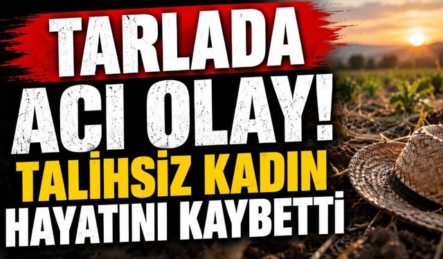 Tarlada Acı Olay! Talihsiz Kadın Hayatını Kaybetti