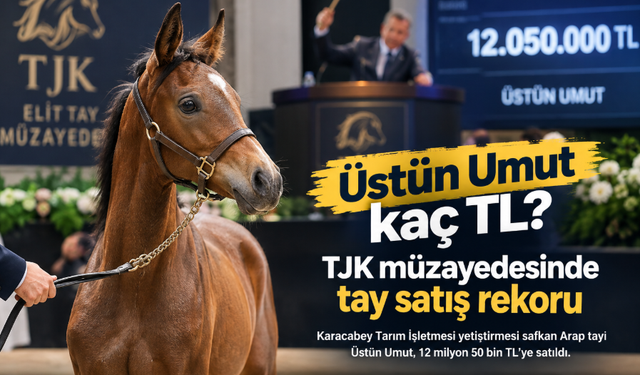 Üstün Umut kaç TL? TJK müzayedesinde tay satış rekoru