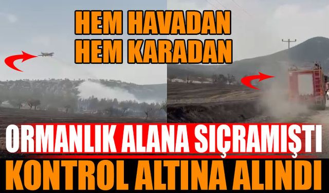 Isparta'da Çıkan Yangın Kontrol Altına Alındı