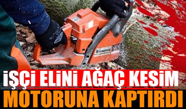 Isparta'da işçi elini kesim motoruna kaptırdı