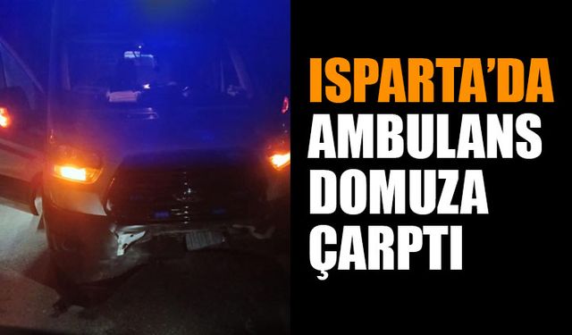 Isparta'da Ambulans Domuza Çarptı