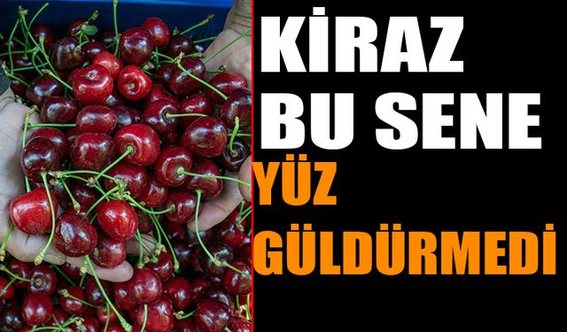 Uluborlu'da Kiraz Üretimi Düştü: Bu Sene Yüz Güldürmedi