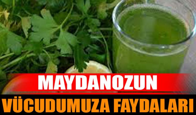 Maydanoz: Sağlık İçin Faydaları ve Kullanım Alanları