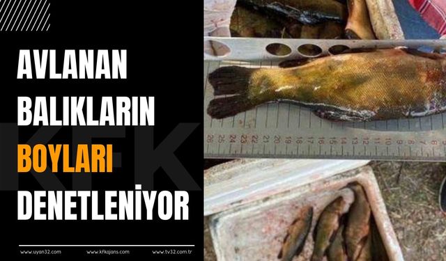 Avlanan Balıklara Boy Limiti Denetimi