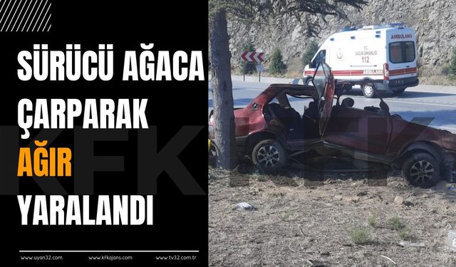 Isparta’da Trafik Kazası: Sürücü Ağaca Çarparak Ağır Yaralandı