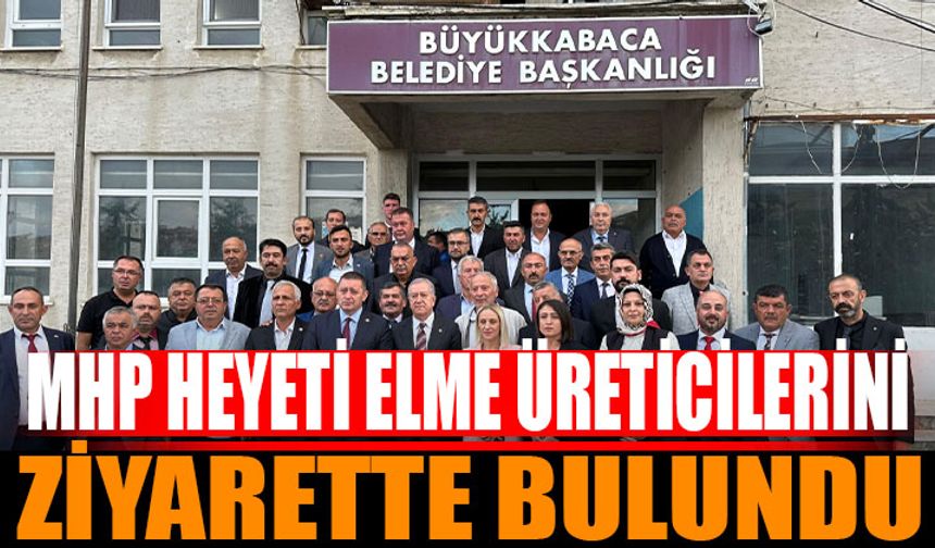 Büyükkabaca'da Dolu Zararı: MHP Heyeti Çiftçileri Ziyaret Etti