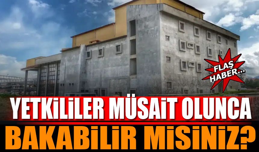 Yetkililer Müsait Olduğunuzda Bakabilir Misiniz?