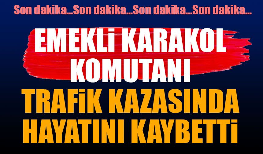 Emekli karakol komutanı hayatını kaybetti