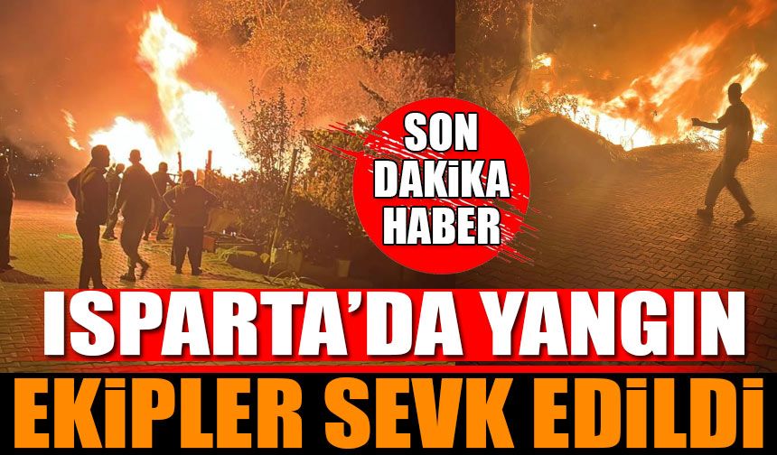 Isparta'da Yangın Ekipler Sevk Edildi