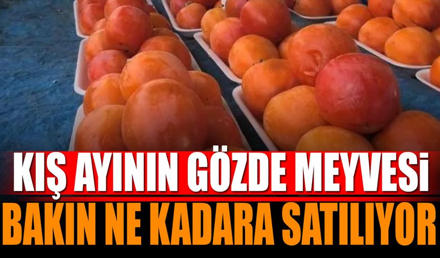 Kış ayının gözde meyvesi bakın ne kadara satılıyor