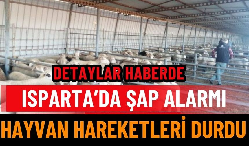 Isparta'da Şap Hastalığı Alarmı:  Hayvan Pazarı Kapatıldı