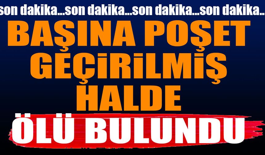 Başına Poşet Geçirilmiş Halde Ölü Bulundu Ispartalı Yangın Helikopteri Pilotunun Sır Ölümü