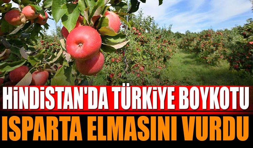 Hindistan’da Türkiye boykotu Isparta elmasını vurdu