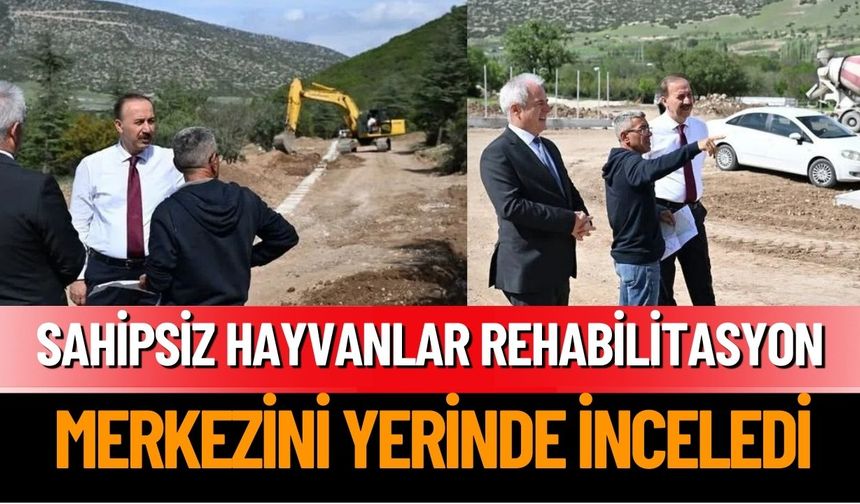 Vali Erin, Sahipsiz Hayvanlar Rehabilitasyon Merkezi İnşaatını İnceledi