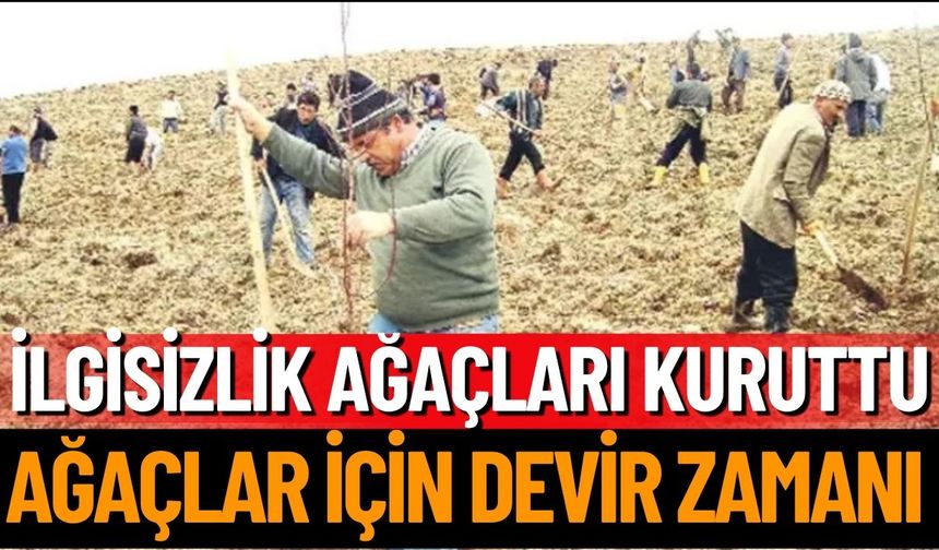 Bakımsızlık Nedeniyle Kuruyan Ağaçlar İçin Devir Kararı