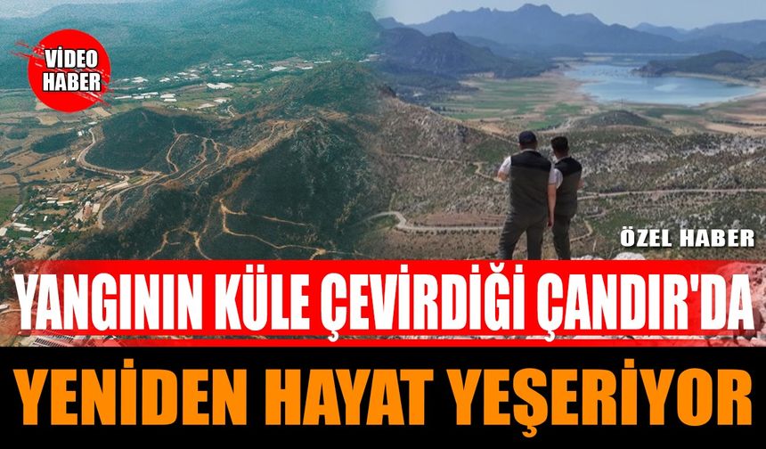 Yangının Küle Çevirdiği Çandır’da Hayat Yeniden Yeşeriyor
