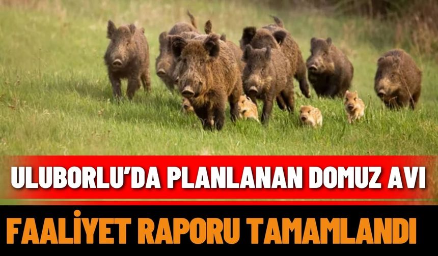Uluborlu’da planlanan domuz avı faaliyet raporu tamamlandı
