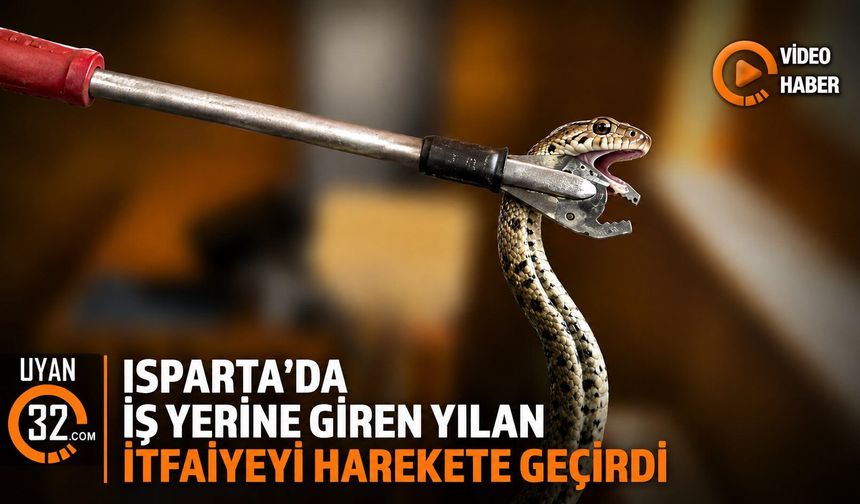 İş Yerine Giren Yılan İtfaiyeyi Harekete Geçirdi