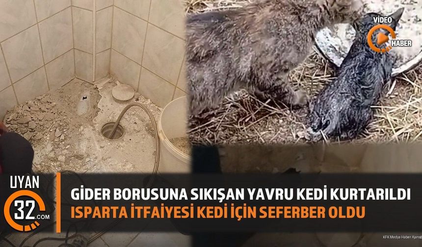 Isparta'da Gider Borusuna Sıkışan Yavru Kedi Kurtarıldı