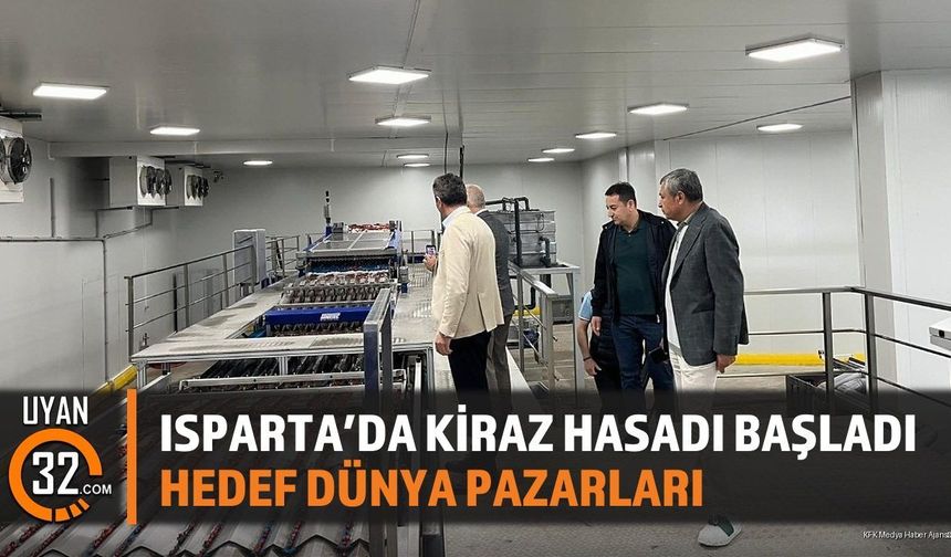 Isparta'da Kiraz Hasadı Başladı, Hedef Dünya Pazarları